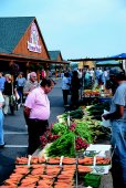 Farmer's Market at St. Jacobs - (Photo Credit: ©Courtesy of St. Jacobs Country)
