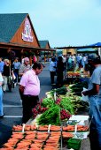 Farmer's Market at St. Jacobs - (Photo Credit: Courtesy of St. Jacobs Country)